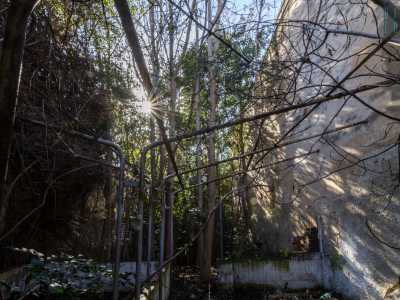 ...si apre infatti ai nostri occhi il giardino della residenza che, sebbene ormai abbandonato a se stesso, emana ancora un certo fascino